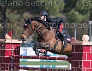 Bologni F Lovestar TosTour2013- S5 2304 : Arezzo, Arezzo Equestrian Centre, Bologni Filippo, Lovestar, Toscana Tour 2013, foto di Stefano Secchi ©